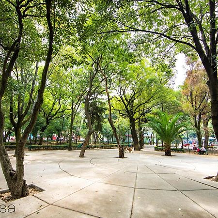 Sophisticated Park Venue Apartment Near Polanco - Nadal 101 Meksika Dış mekan fotoğraf